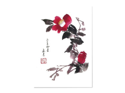 postkarte postcard camellia Kamelie