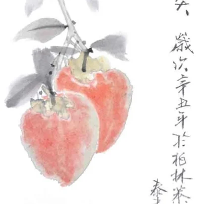 kaki zeichneng Pomegranate painting tusche malerei sumi-e painting tusche Zeichnen tinte zeichnung wand dekoration wandkunst Büro dekoration wohn decoration blumen zeichnen landscape painting landschaft malerei tier zeichnen